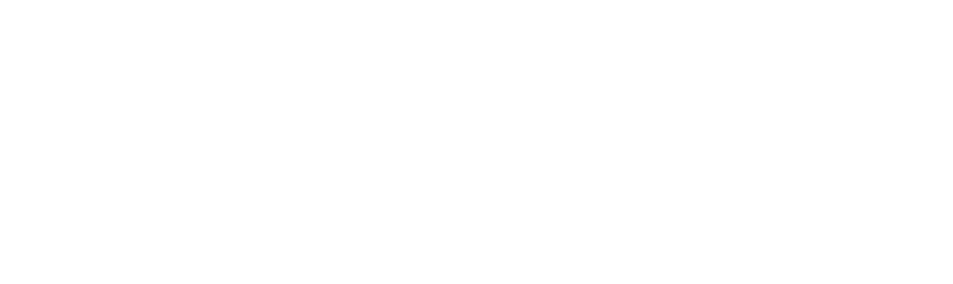 The Raid Before Christmas